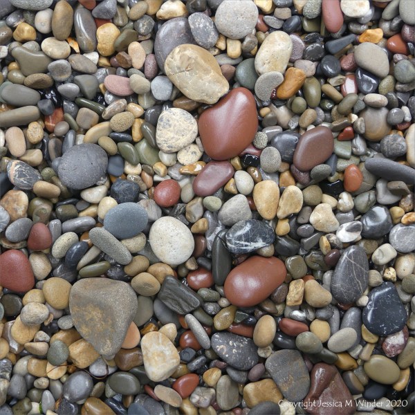 Smooth coloured pebbles at Caswell Bay
