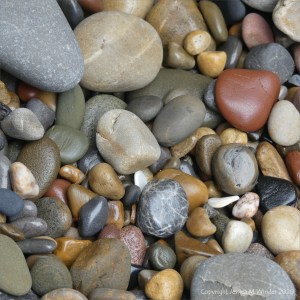 Smooth coloured pebbles at Caswell Bay