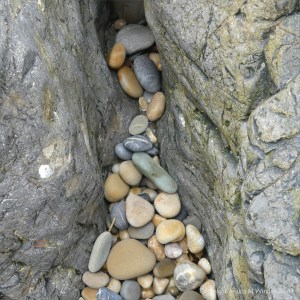 Smooth coloured pebbles at Caswell Bay