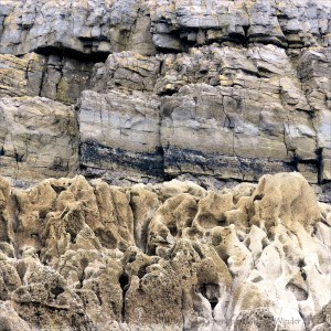 Carboniferous Limestone on the Gower Peninsula