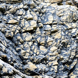 Natural pattern of black lichen in rock crevices