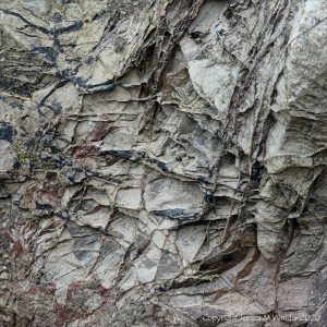 Rock texture at Caswell Bay