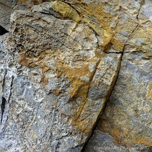 Limestone rock texture with yellow lichen