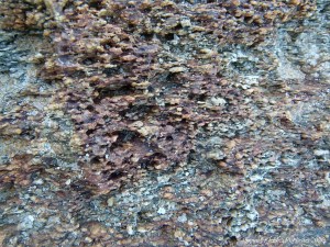 Rocks at Trinity Beach in Queensland
