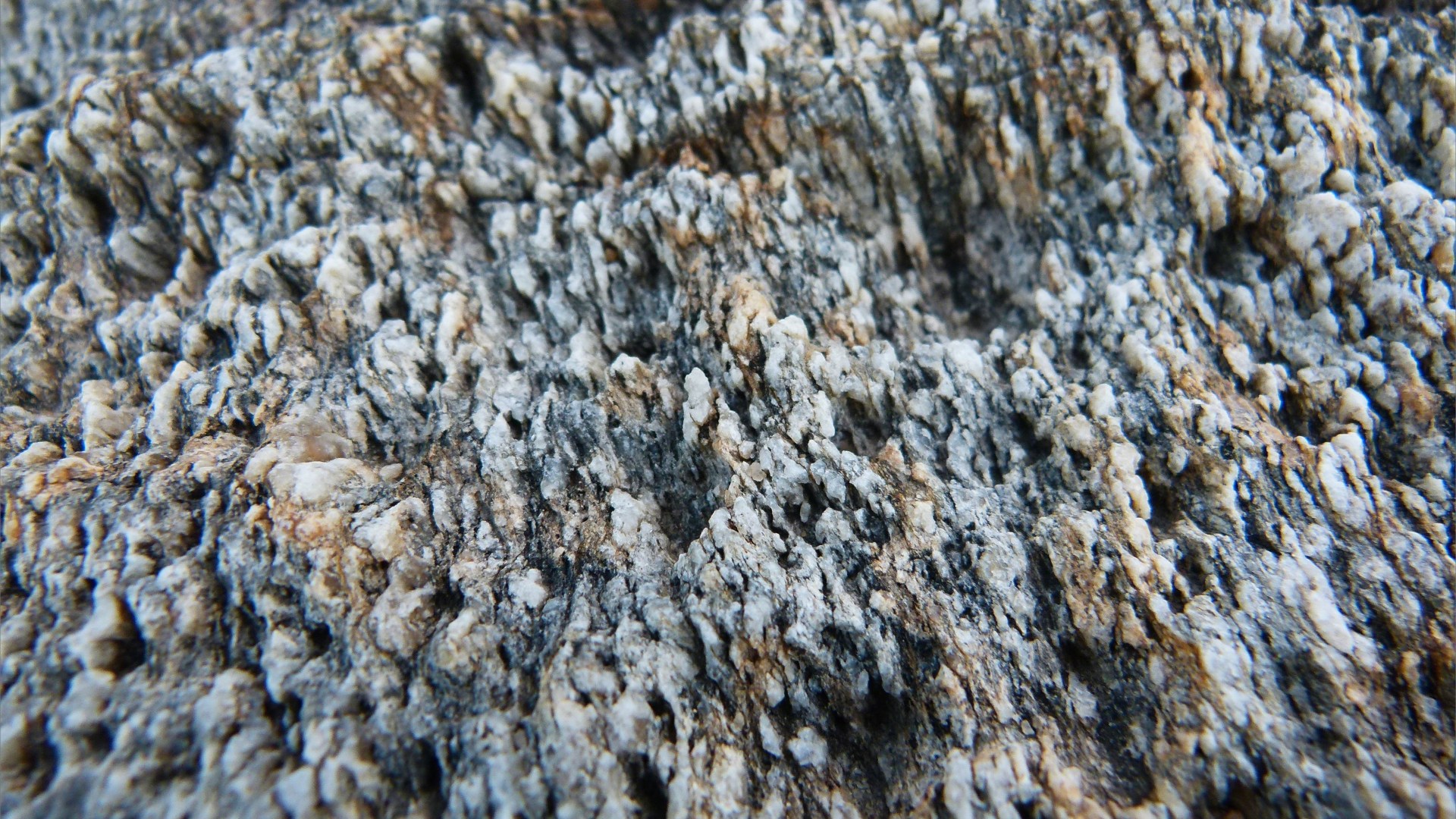 Rocks at Trinity Beach in Queensland