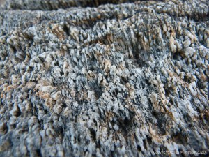 Rocks at Trinity Beach in Queensland