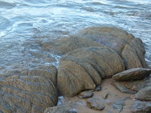 Rocks at Trinity Beach in Queensland
