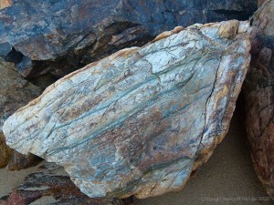 Boulder in rock armour at Trinity Beach in Queensland