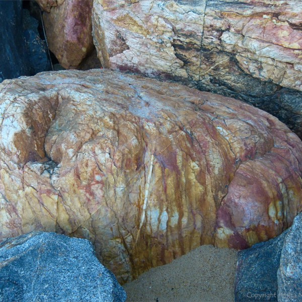 Boulder in rock armour at Trinity Beach in Queensland