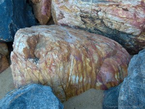 Boulder in rock armour at Trinity Beach in Queensland