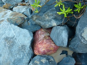 Rock armour at Trinity Beach in Queensland