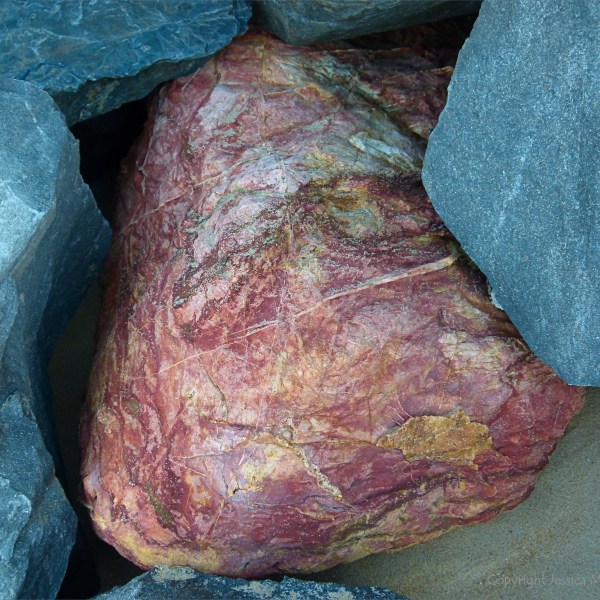 Boulder in rock armour at Trinity Beach in Queensland