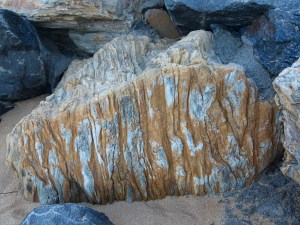 Boulder in rock armour at Trinity Beach in Queensland