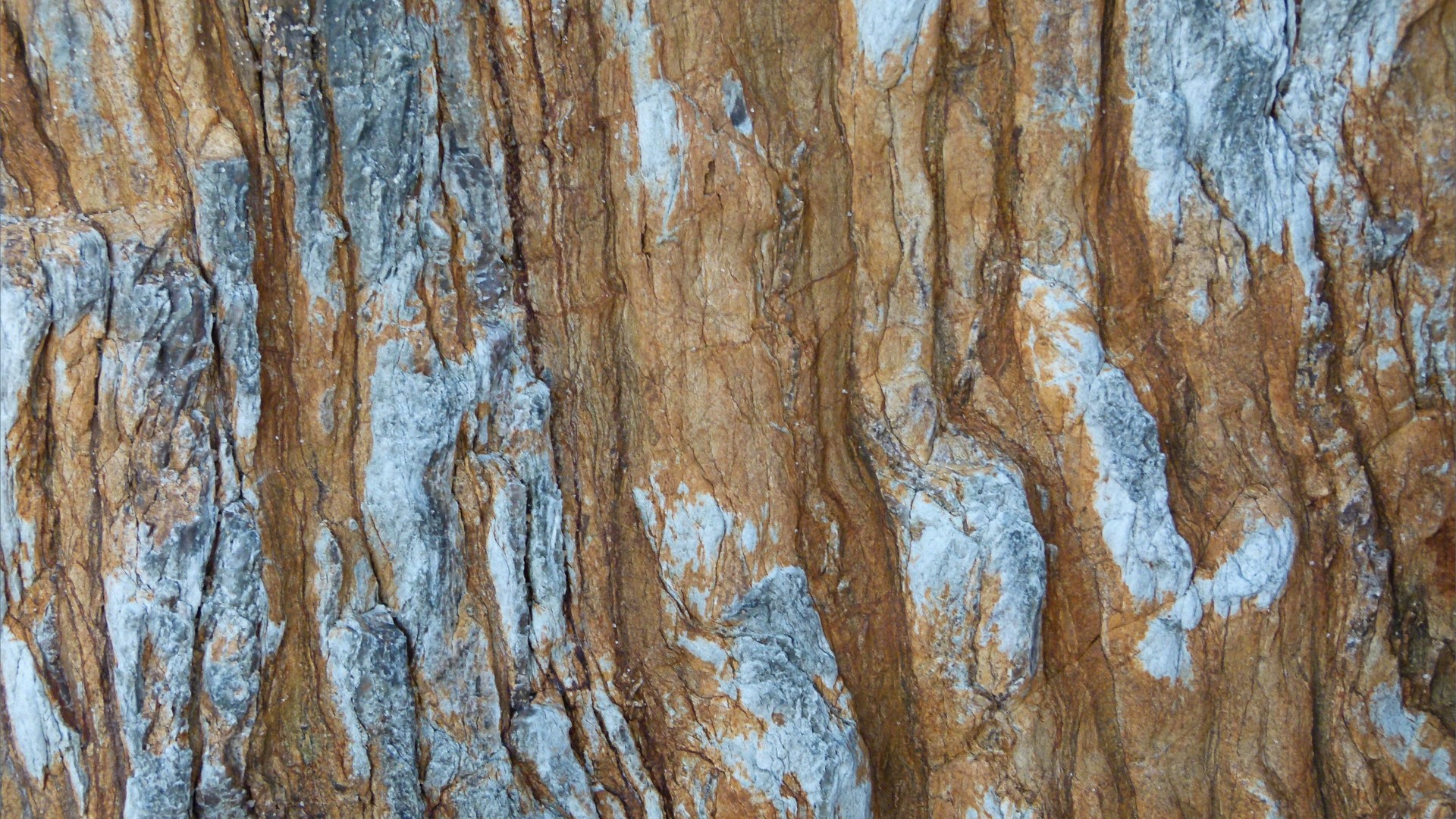 Close-up of rock pattern and texture