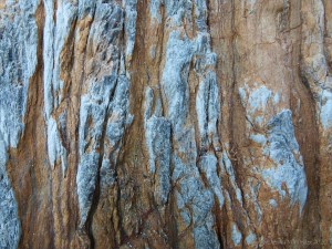 Close-up of rock pattern and texture