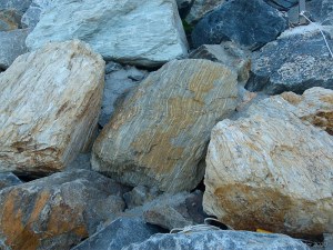 Boulder in rock armour at Trinity Beach in Queensland