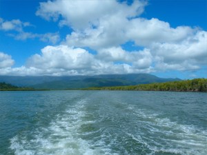 The boat wake on the Mulgrave River