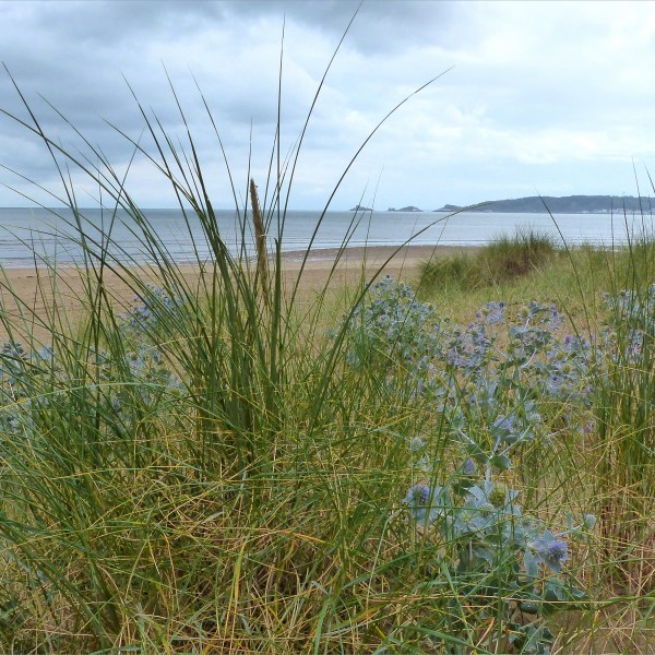 View of Swansea Bay from the dunes