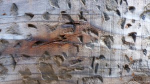 Wood texture in recycled railway sleepers