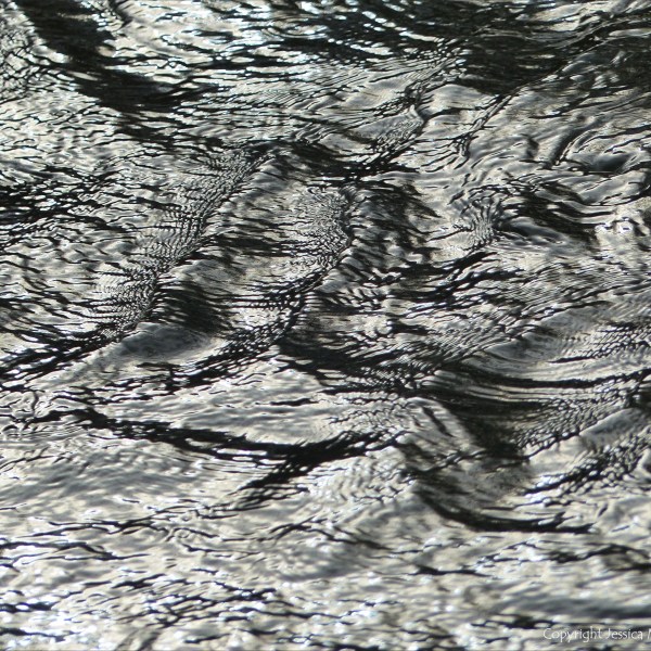 Detail of the winter River Frome from The Retreat at Sculpture by the Lakes in Dorset
