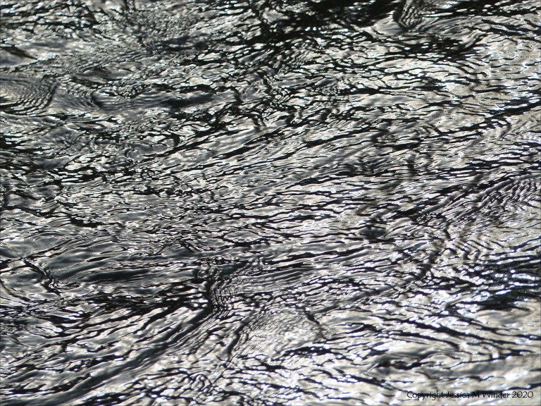 Detail of the winter River Frome from The Retreat at Sculpture by the Lakes in Dorset