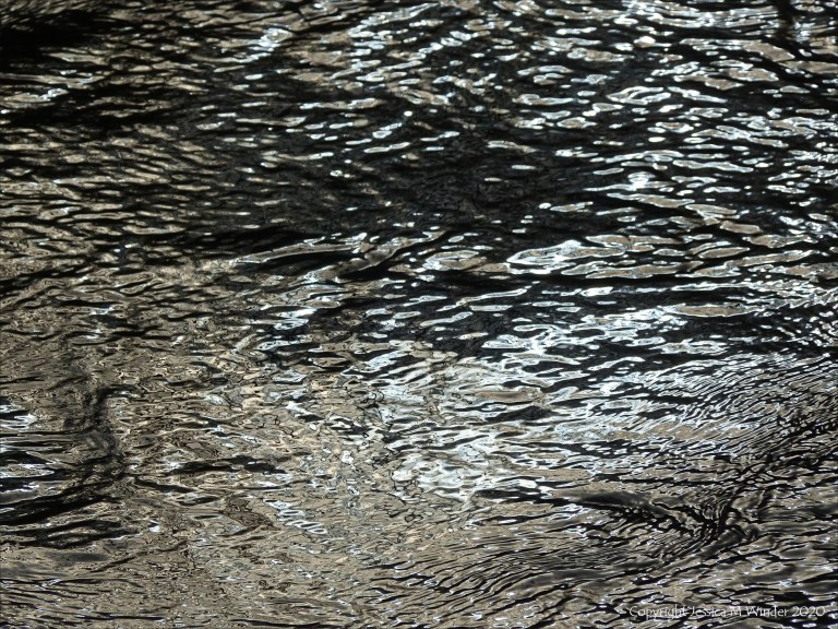 Detail of the winter River Frome from The Retreat at Sculpture by the Lakes in Dorset