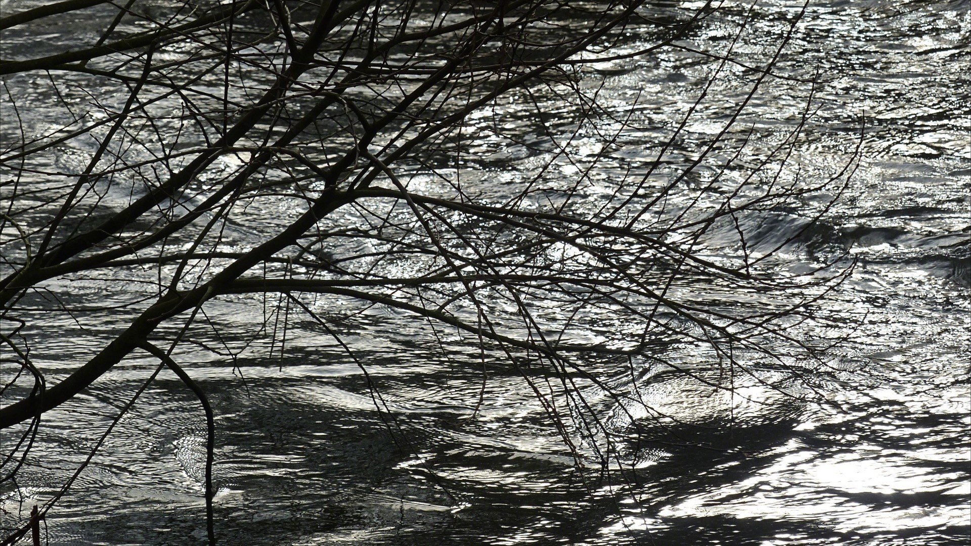 River water texture in fast flow