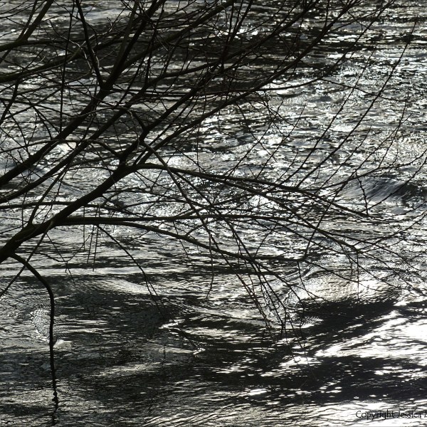 River water texture in fast flow