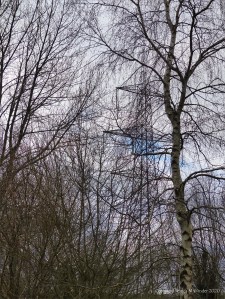Network of bare branches with metal structure of a pylon