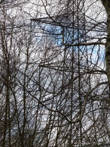 Network of bare branches with metal structure of a pylon