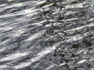 Reflections in water on a flooded riverbank