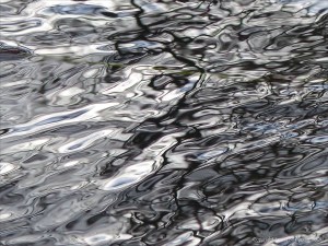 Reflections in water on a flooded riverbank