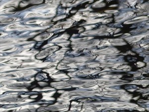 Reflections in water on a flooded riverbank