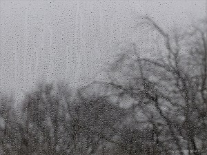 Rainy day view from a window - Storm Ciara