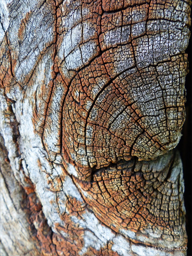 Wood knot in rust-stained timber