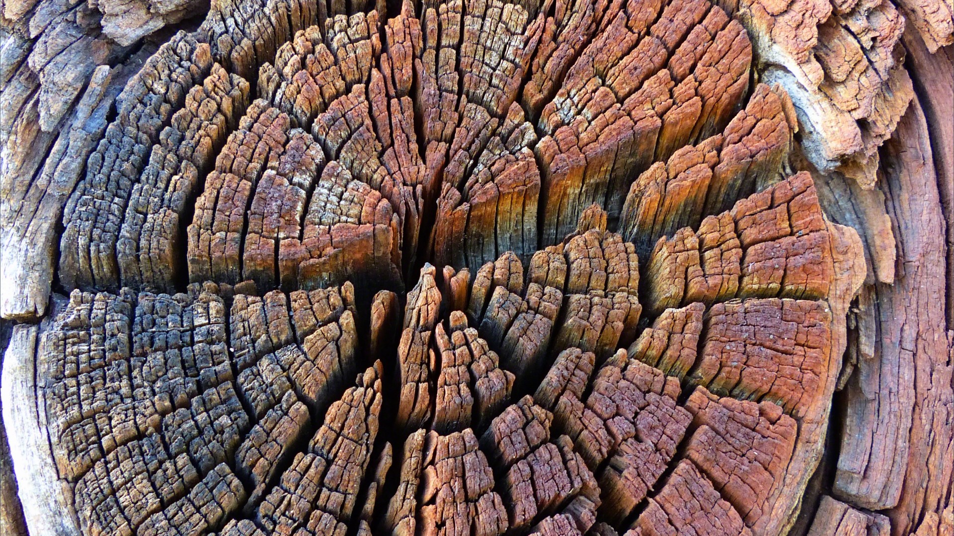 Wood knot in rust-stained timber