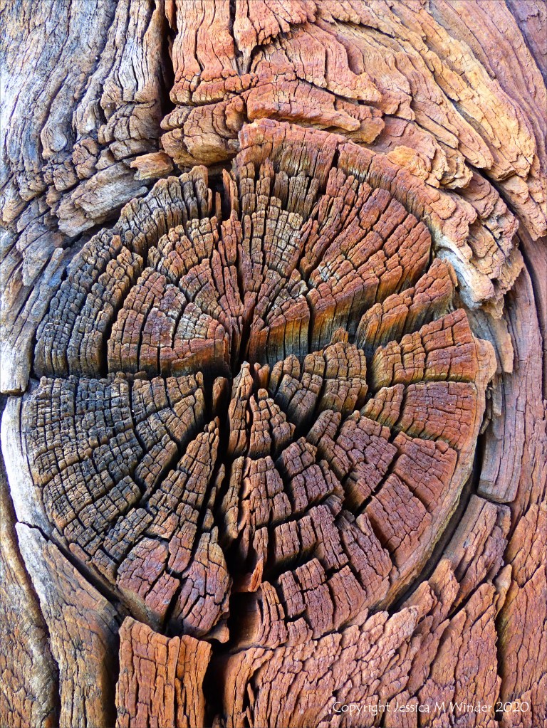 Wood knot in rust-stained timber