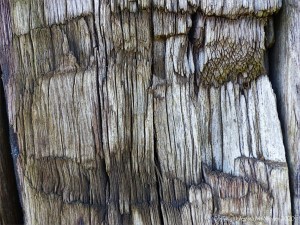 Crushed woodgrain on an old railway sleeper