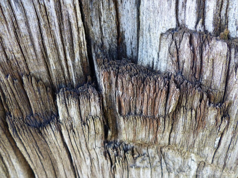Crushed woodgrain on an old railway sleeper