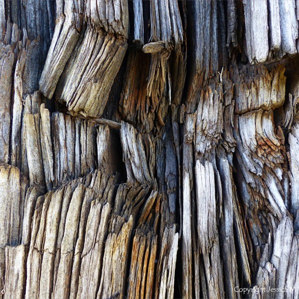 Crushed woodgrain on an old railway sleeper