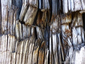 Crushed woodgrain on an old railway sleeper