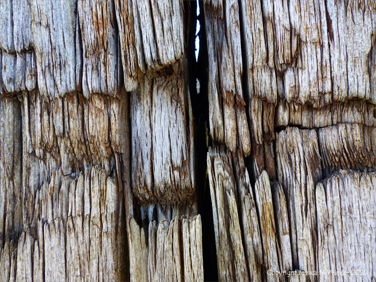 Crushed woodgrain on an old railway sleeper