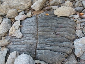 Rock formation at Trinity Beach