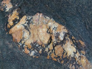 Detail of rock at the south end of Trinity Beach, Queensland