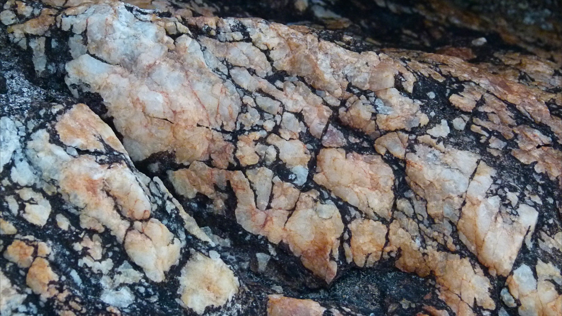 View of bedrock at the south end of Trinity Beach, Queensland