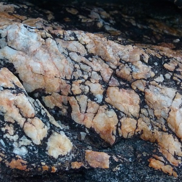 View of bedrock at the south end of Trinity Beach, Queensland