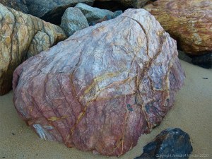 Boulder in rock armour at Trinity Beach in Queensland