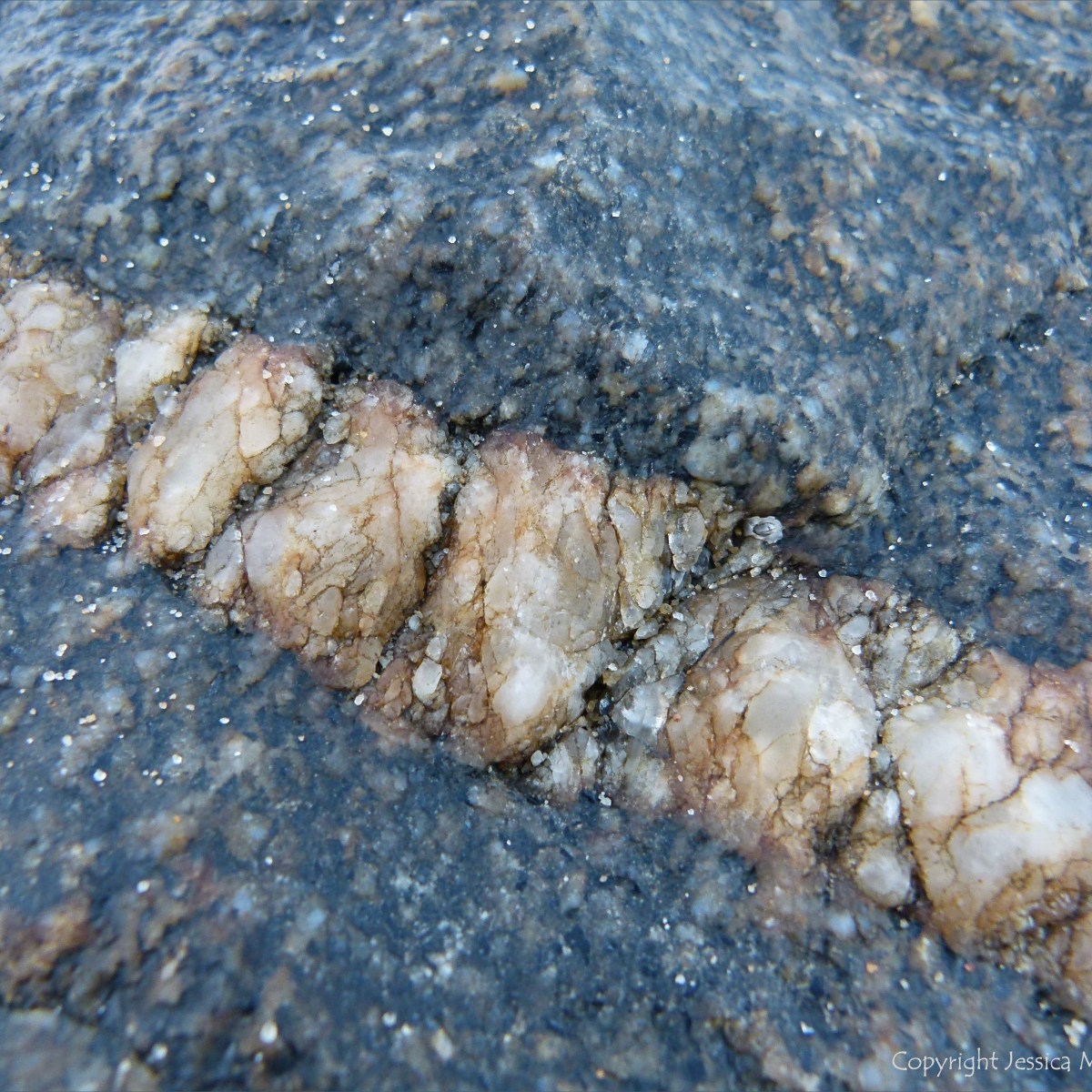Trinity Beach – Jessica's Nature Blog