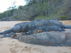 Rock outcrop with veins on Trinity Beach in Queensland