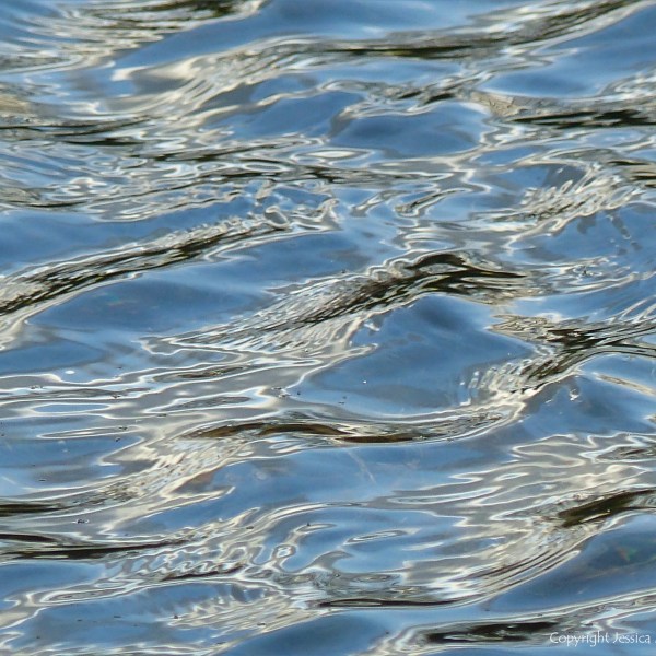 Natural ripple patterns on water in a flooded field